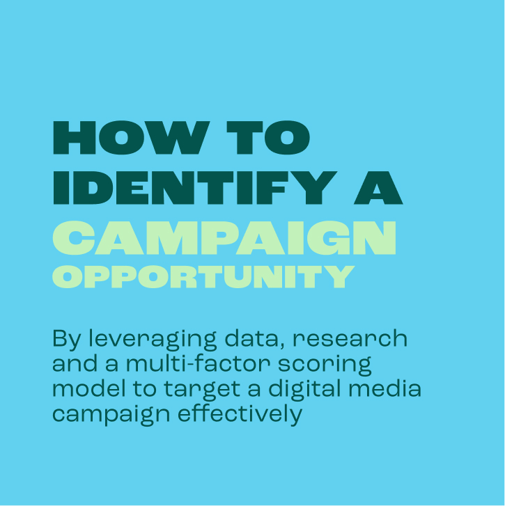 How to identify a campaign opportunity